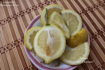 C.limon Gizenko- 